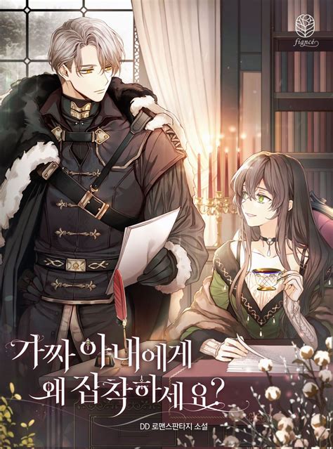 why are you obsessed with your fake wife novel